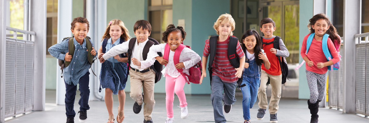 The Economics of Age at School Entry: Insights from Evidence and Methods